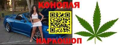 спиды Тверь