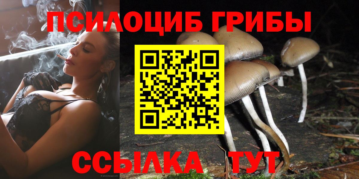 Галлюциногенные грибы GOLDEN TEACHER Омск